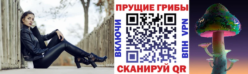 Псилоцибиновые грибы MAGIC MUSHROOMS  купить наркотики цена  Городище 